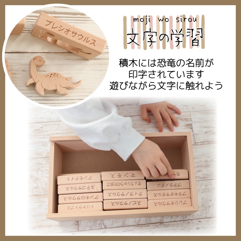 TsumiTsumiシーソー《恐竜》　《専用BOX*ラッピング不可》　【木製おもちゃのだいわ直営店】