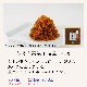 ḷ̌䤫 ľCC-35ڤ渵20OFF  