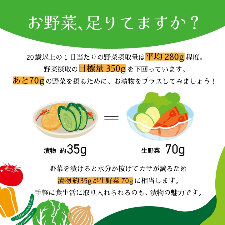 �������ʤ����䤹 YG-3 ���� ��ʪ ���