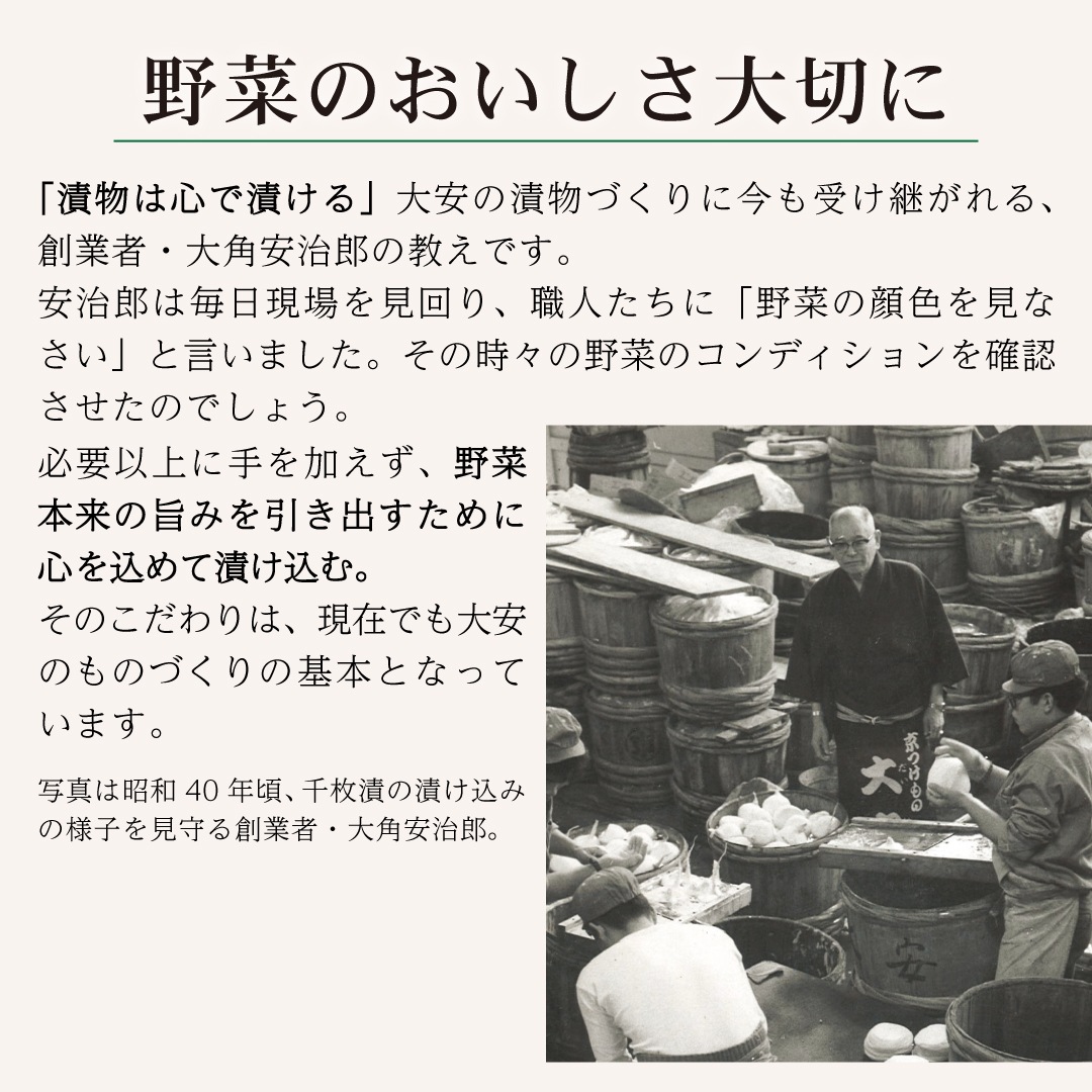 < 12716ޤ>ʤ䤹 YG-15  ʪ 