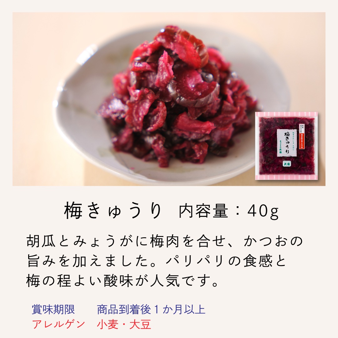 京の味 H-25 京都 漬物 大安