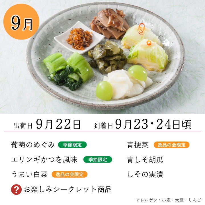 ���ʤβ� ϻ�����̴���4���9��ˡ��������� 