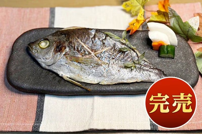 �ڴ���ۥץ�ߥ��ॷ�꡼�����񻺡��������������Ҥ�