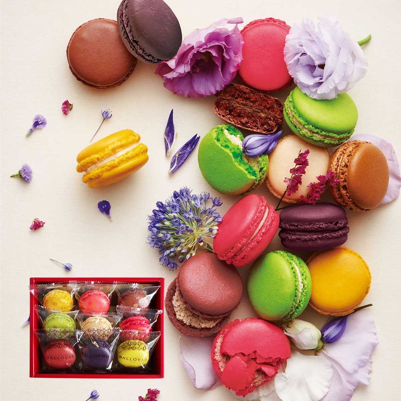 甘い物 Onitsuka Tiger オニツカタイガー スニーカー EDR 78 PIQUANT