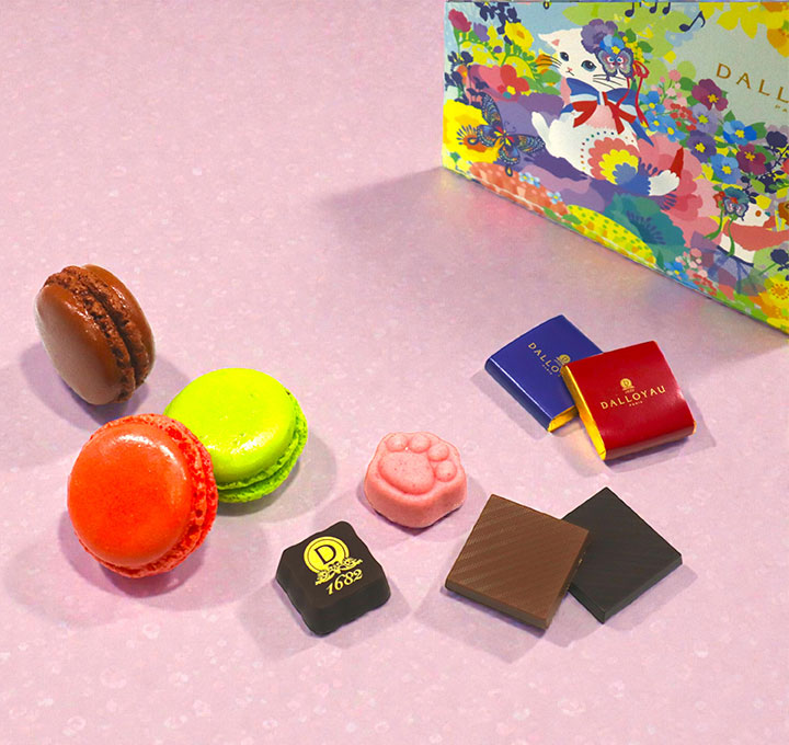 ショコラニャカロン詰め合わせ ドゥ | すべての商品 - ダロワイヨ公式