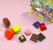 ショコラニャカロン詰め合わせ ドゥ