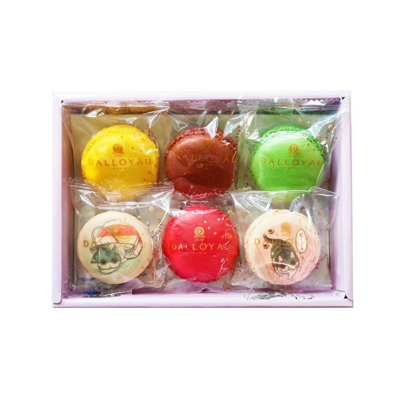 キュルガマカロン入り詰め合わせ(6個入)