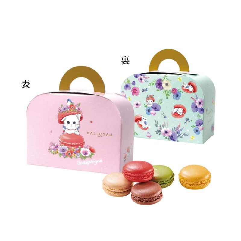 ワールドキャットデイ ニャカロン詰め合わせ(5個入)