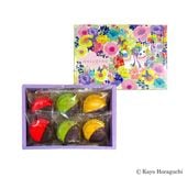 ニャカロン ビズ（6個入）