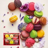 季節のマカロン入り詰め合わせ（8個入）