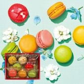 季節のマカロン入り詰め合わせ（8個入）