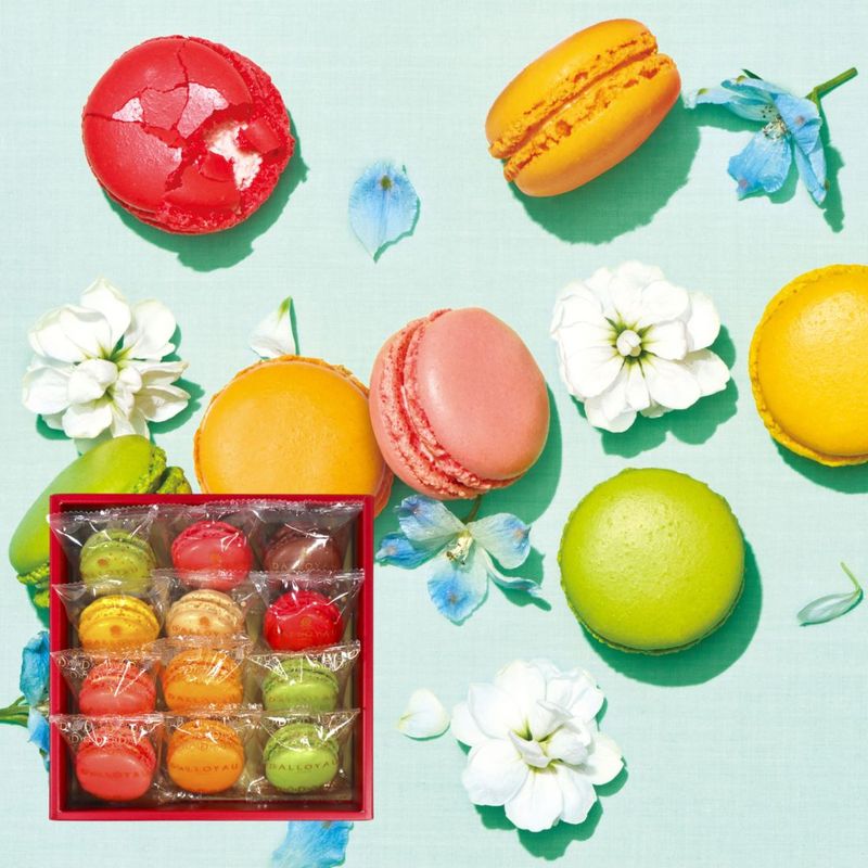 季節のマカロン入り詰め合わせ（12個入）