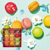 季節のマカロン入り詰め合わせ（12個入）