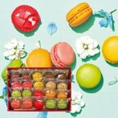 季節のマカロン入り詰め合わせ（20個入）