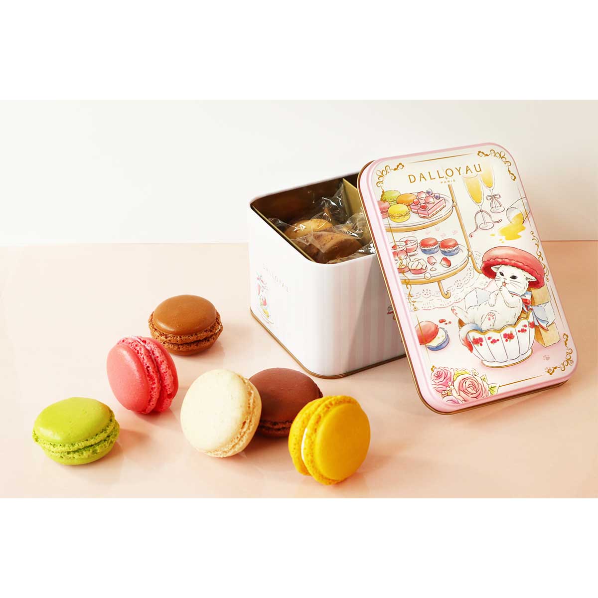 ニャカロン詰め合わせ缶（6個入）