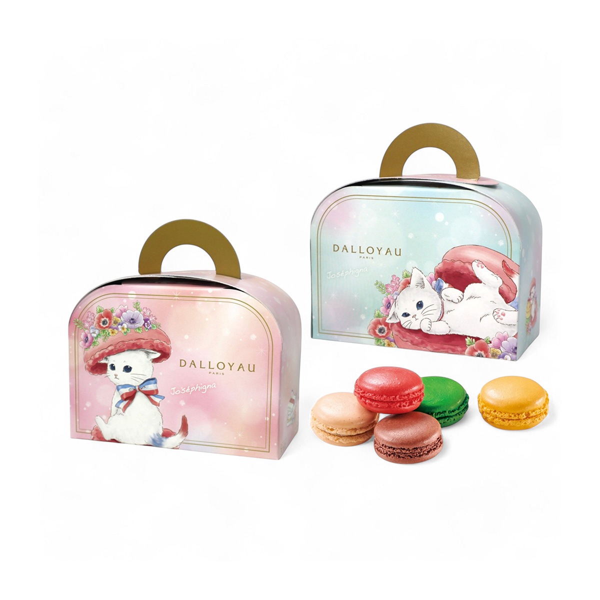 ニャカロン詰め合わせ（5個入）