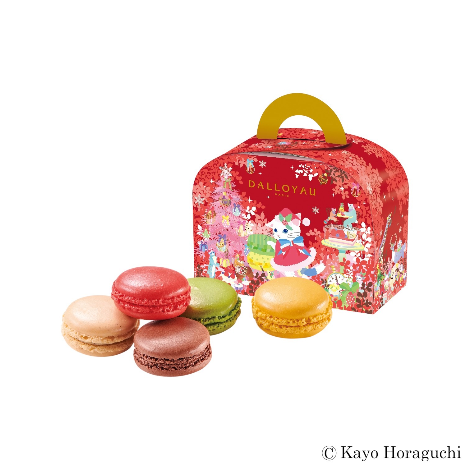 ノエル　ニャカロン詰め合わせ（5個入）