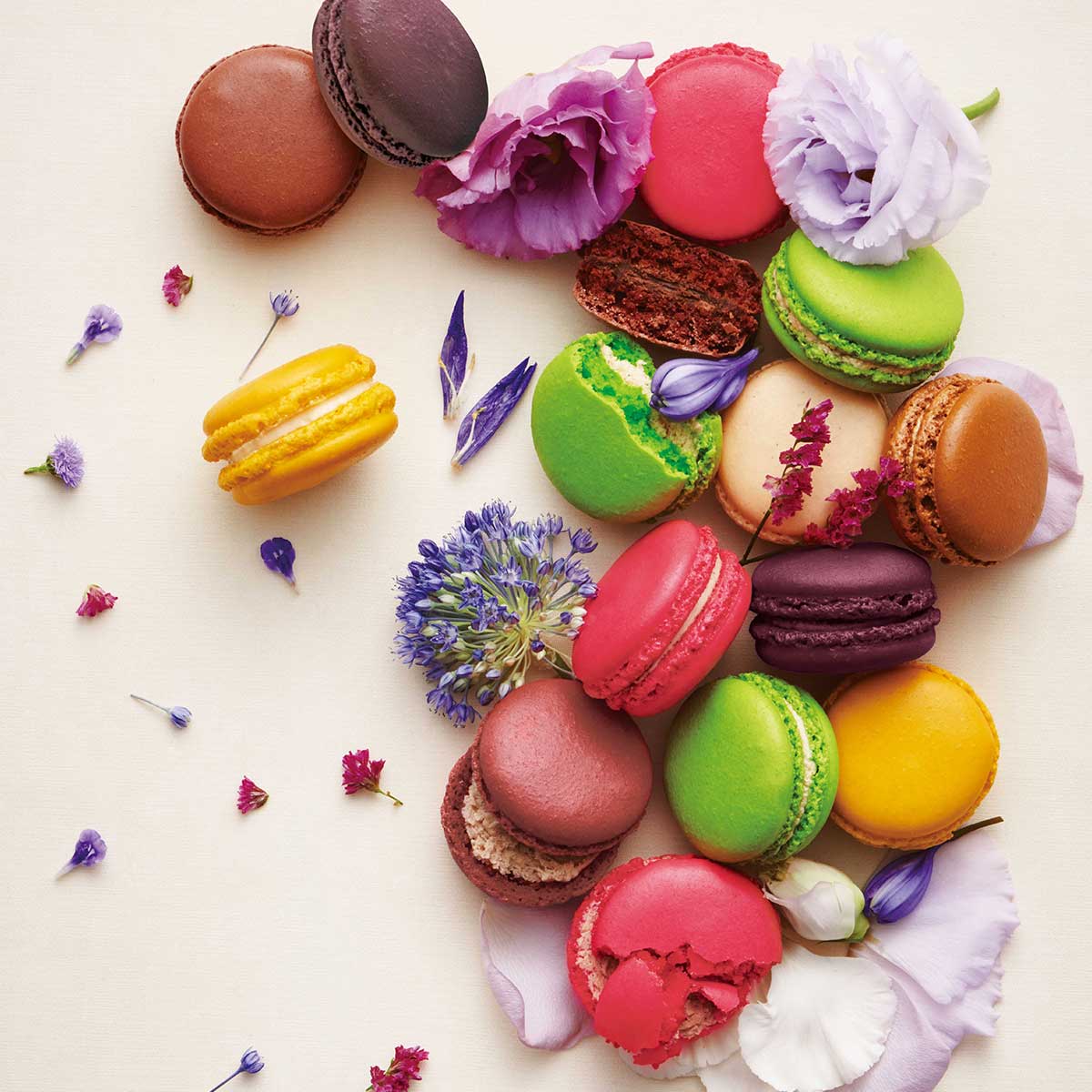 季節のマカロン入り詰め合わせ（12個入）