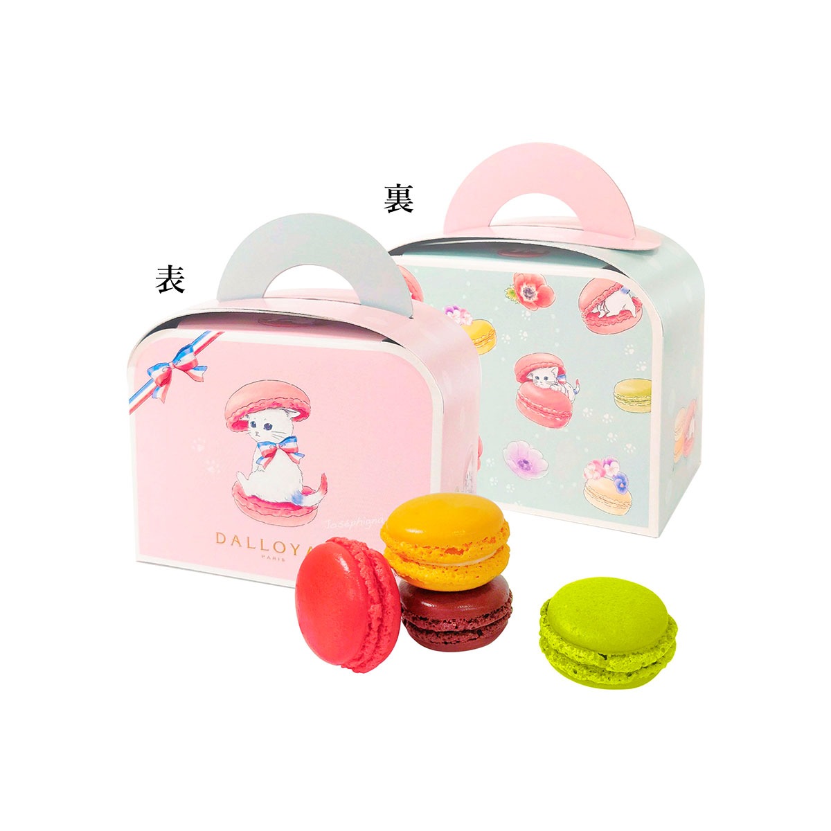 ニャカロン詰め合わせ（4個入） | すべての商品 - ダロワイヨ公式