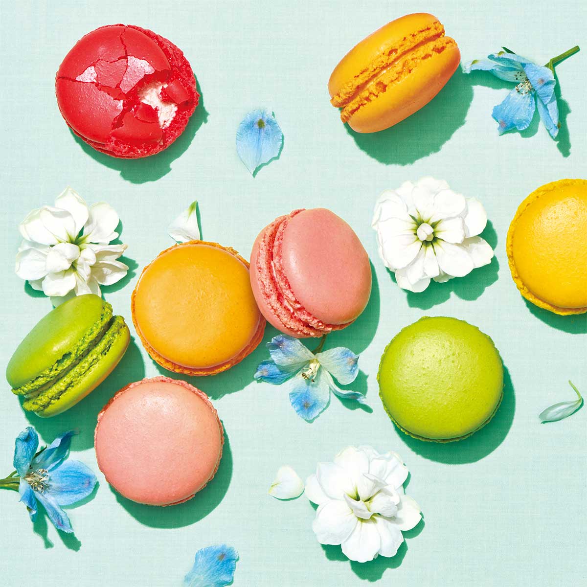 季節のマカロン入り詰め合わせ（8個入）