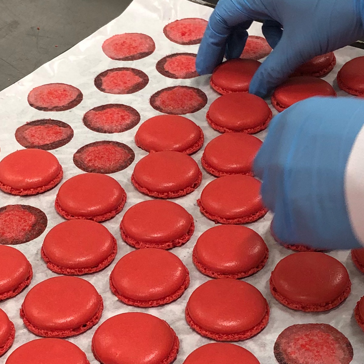 ふぞろいマカロン【WEB・数量限定】