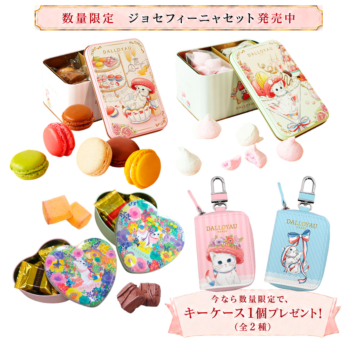 りょたろうさん専用　２枚セット ジョセフィーニャセットA | すべての商品 - ダロワイヨ公式オンライン