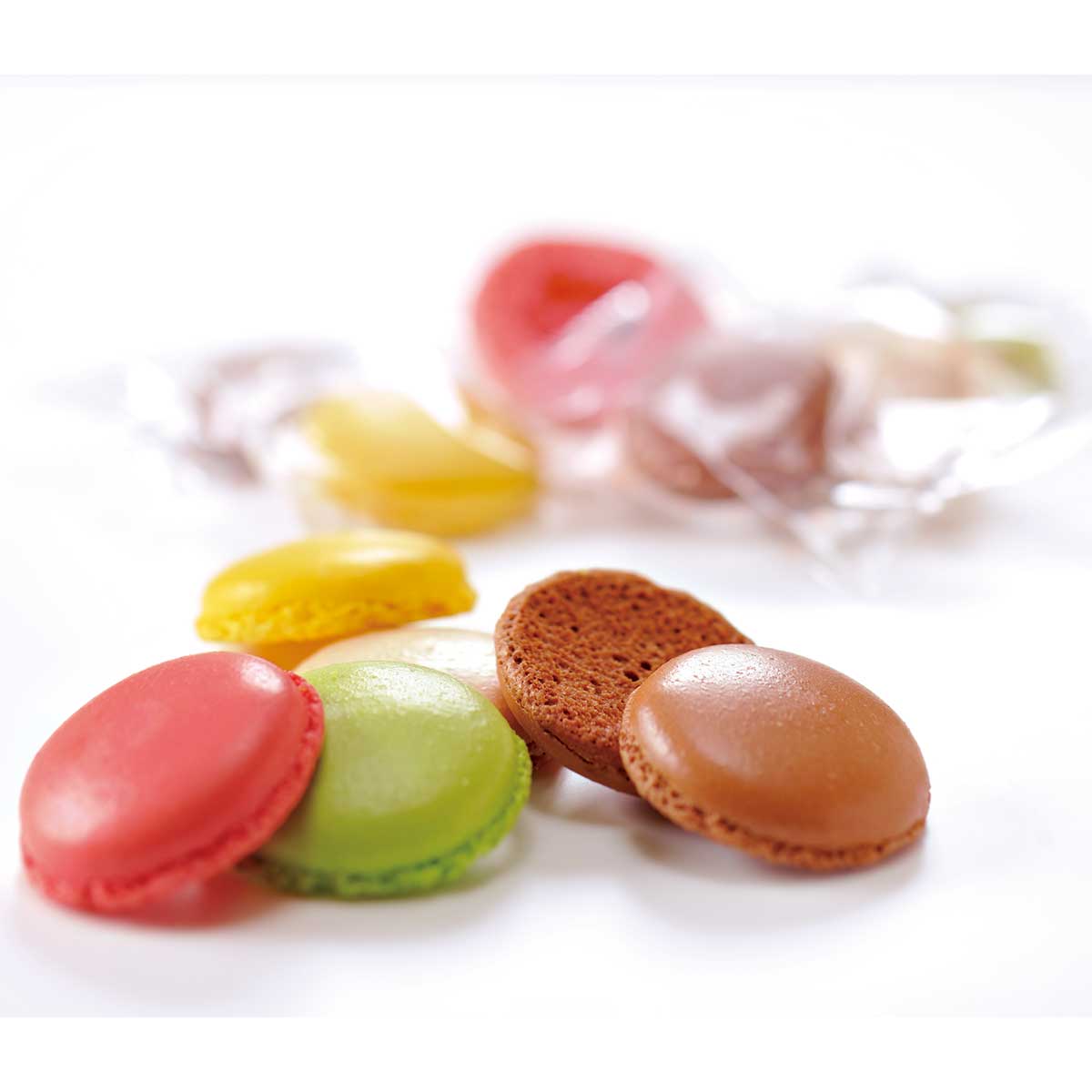 ニャカロンラスク　イエロー