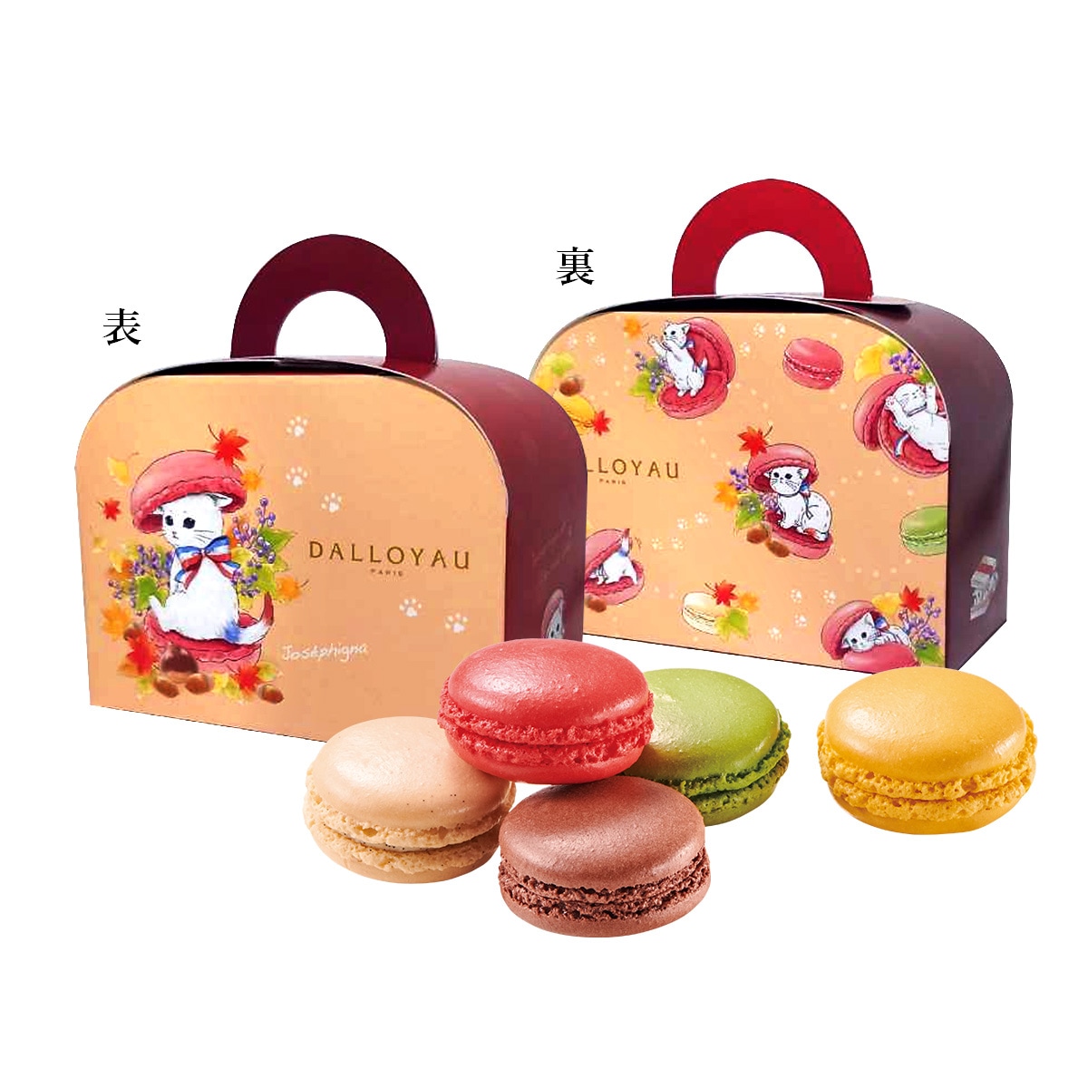 もみじ ニャカロン詰め合わせ（5個入）