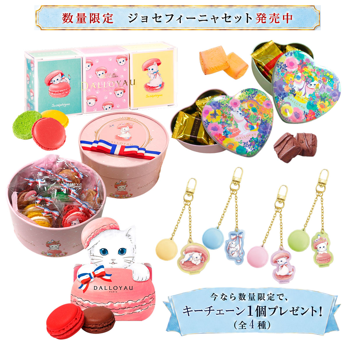 ジョセフィーニャセットB | すべての商品 - ダロワイヨ公式オンライン