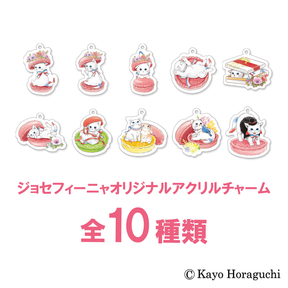 ノエル ニャカロンラスク ヴェール（3枚入）