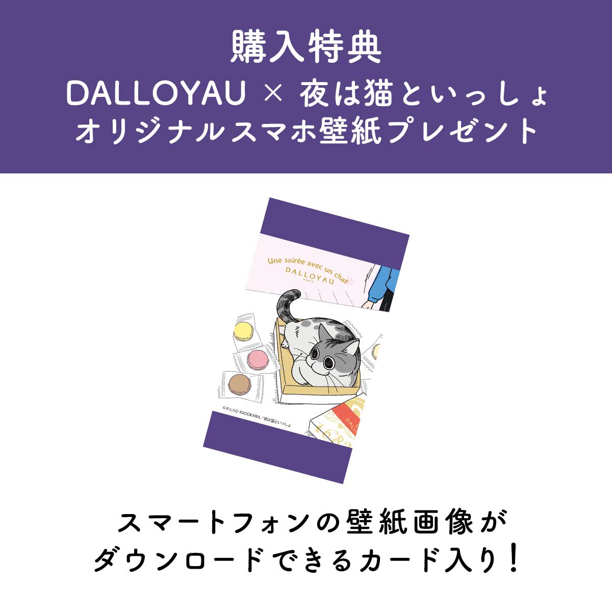 キュルガマカロン入り詰め合わせ 6個入 コラボ商品 夜は猫といっしょ ダロワイヨ公式オンラインショップ