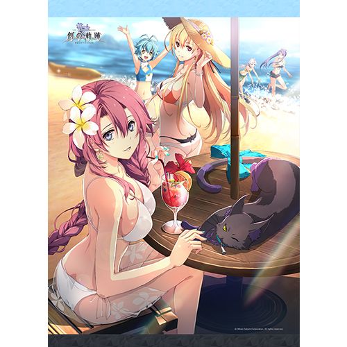 【ゲーム特典】空の軌跡 Evolution　女性キャラ 水着 タペストリー 希少品・レア】空の軌跡3rd Evolution タペストリー 水着 美少女