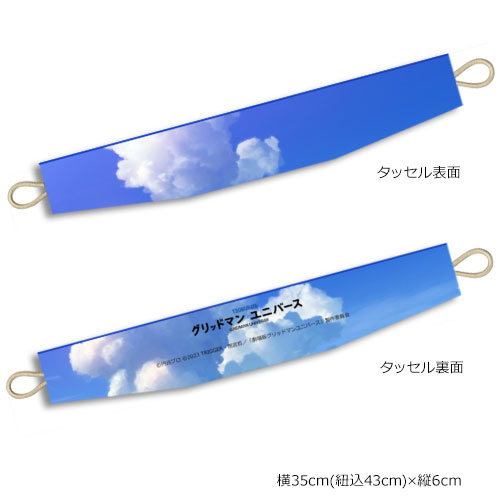 グリッドマン ユニバース]描き下ろしカーテン（宝多六花＆新条アカネ