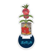 [�ۥ�����]�ߥ˥�����륹����ɡʥۥ����󥫡�