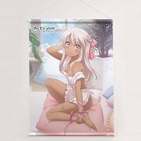 [����ǡ�Fate/kaleid liner �ץꥺ�ޡ������ Licht ̾����̵��������]����������B2���ڥ��ȥ꡼�ʥ����������ץ����W��������