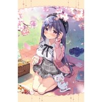 [�Ѥ�����]�����륱�åȡʤ���������