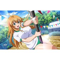 [�쵳����]�����륱�åȡ�¹�����䡿Ǯ�����ݤ���