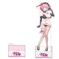 [���ʥ��ͤϤ����ޤǥ������]�������������祢����륹����ɡʹ�饫�ʥ󡿥ʡ��������