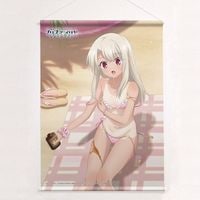 [����ǡ�Fate/kaleid liner �ץꥺ�ޡ������ Licht ̾����̵��������]����������B2���ڥ��ȥ꡼�ʥ���䡿���Ƥ���W��������