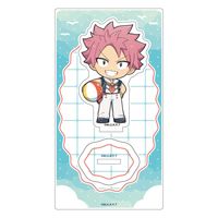 [FAIRY TAIL 100ǯ��������]������륹����ɡʥʥġ��ޥ���å���