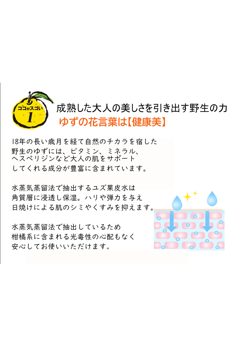 クレンジングフォーム詰替え用280ml+ポンプフォーマー容器(50ml)セット