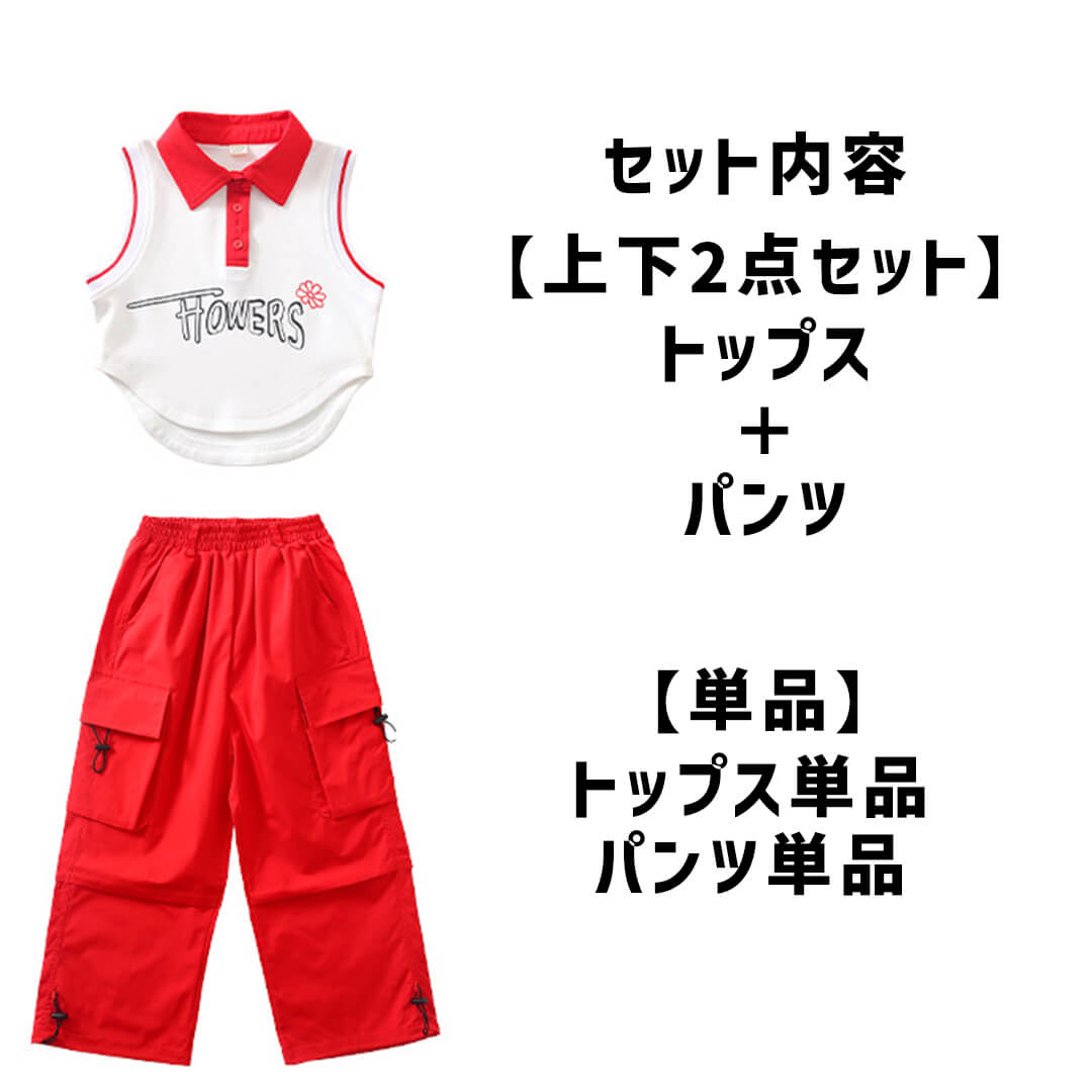 洋服ダンス 社交ダンスドレス競技ダンスドレスセール商品 | NANAKA GENESIIS