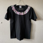 1�� �ե���󥹰��� ��sundog�� T�����