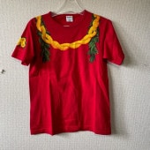 1�� �ե���󥹰��� ��sundog�� T�����