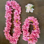 3�� �ե���󥹰���  ���������꡼