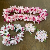 4�� �ե���󥹰���  ���������꡼