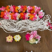 5�� �ե���󥹰���  ���������꡼