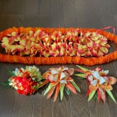 5�� �ե���󥹰���  ���������꡼