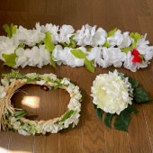 3�� �ե���󥹰���  ���������꡼