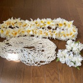 4�� �ե���󥹰���  ���������꡼